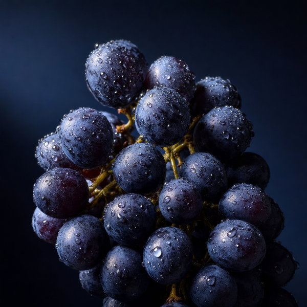 Vitis Vinifera (Grape) Extract