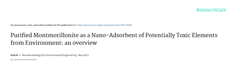 Purified Montmorillonite as a Nano-Adsorbent of Potentially Toxic Elements from Environment: an overview