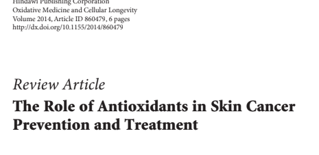 The Role of Antioxidants in Skin Cancer Prevention and Treatment